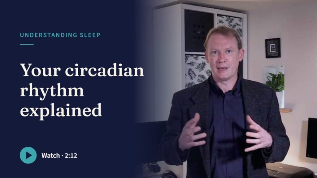 Play the film: Your circadian rhythm explained